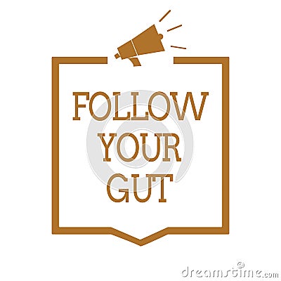 Text sign showing Follow Your Gut. Conceptual photo Listen to intuition feelings emotions conscious perception Megaphone loudspeak Stock Photo