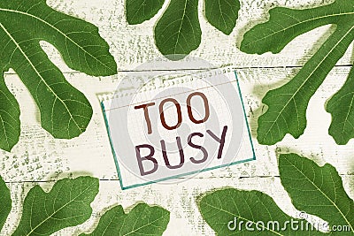 Text sign showing Too Busy. Conceptual photo No time to relax no idle time for have so much work or things to do. Stock Photo