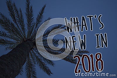 Text sign showing What 'S New In 2018. Conceptual photo Year resolution Goals Career achievements Technology Tree palm sky blue na Stock Photo