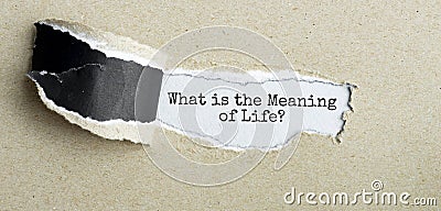 The text What is the Meaning of Life appearing behind torn brown paper Stock Photo