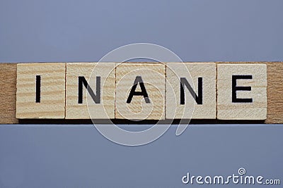 Text the word inane from brown wooden small letters Stock Photo