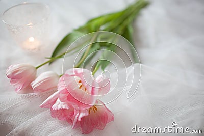 Textile wedding background with pink tulips and candle. woman`s day Stock Photo