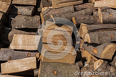Texture, background - natural wood. Stock Photo