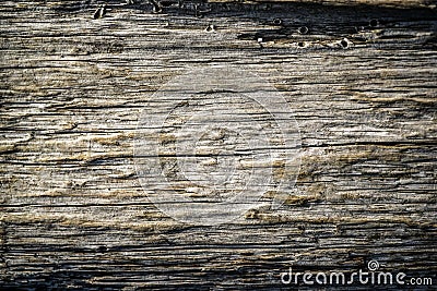 Textura very old wood, texture and color. Stock Photo