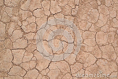 Texture 5183 - arid cracked ground Stock Photo