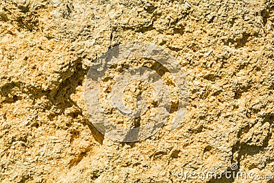 Texture background brick from shells, wall is made of shells brick Stock Photo