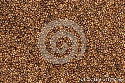 Texture, background of coriander seed Stock Photo