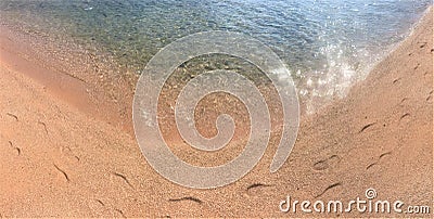 Footprints of human feet on the sand near the water on the beach Stock Photo