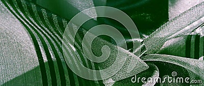 Texture, background, pattern, collection, light transparent silk fabric with stripes of different size, green. exquisite luxury Stock Photo