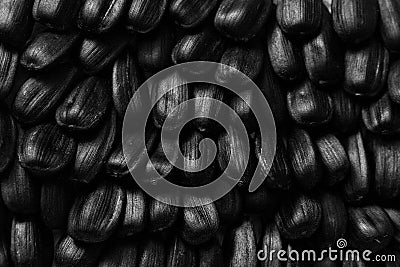 Texture and background sunflower seeds close closeup Stock Photo