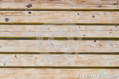 Texture, background, timber wall, light wood, pine Stock Photo