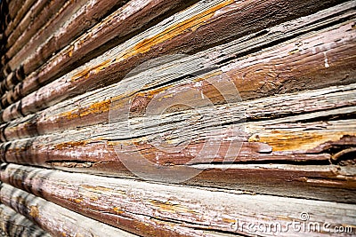 texture background tree logs horizontal Stock Photo