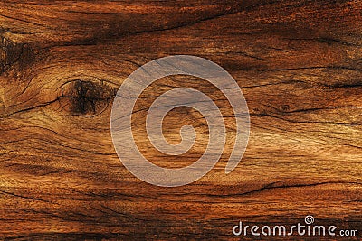 Texture of bark wood use as natural background Stock Photo