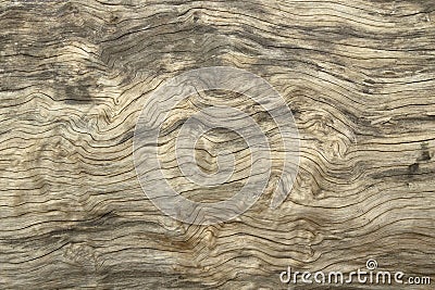 Texture of bark wood use as natural background Stock Photo