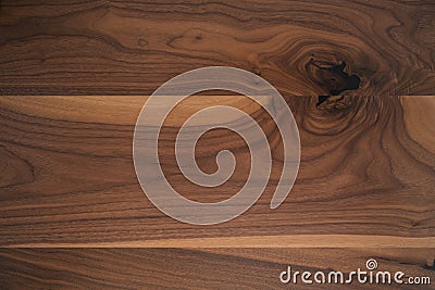 Texture of black walnut wood with some sapwood Stock Photo