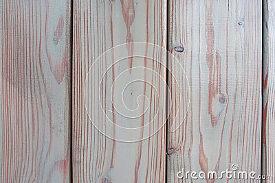 Texture boards which made of light wood. Stock Photo