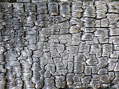 Texture burnt boards Stock Photo