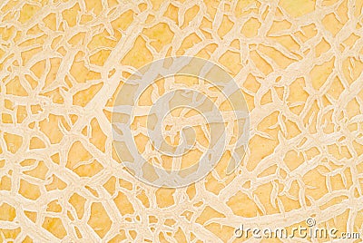 Texture of Cantaloupe Skin Stock Photo