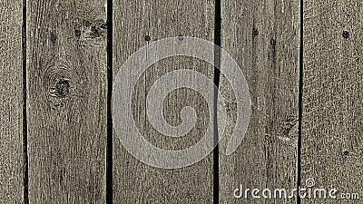 Texture of closeup weathered wooden wall Stock Photo