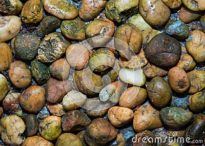 Texture of Color pebble stone Stock Photo