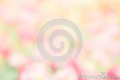 Texture colorful blur background , abstract color blur paint Stock Photo