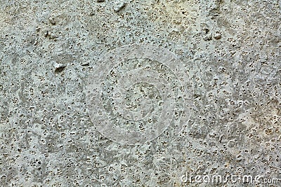 Texture concrete Stock Photo