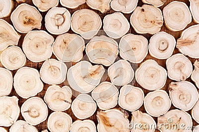 Texture of cross section juniper wood. Pattern of tree stump background. Circles slice of juniper. Stock Photo