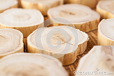 Texture of cross section juniper wood. Pattern of tree stump background. Circles slice of juniper. Stock Photo