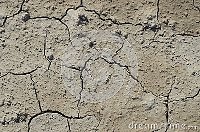 The texture of dried cracked earth, heavily dried soil under the sun with cracks, grooves Stock Photo