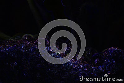 Texture of drops on leaf with dark background Cartoon Illustration
