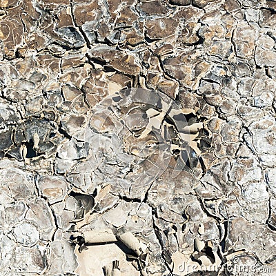 texture of dry land Stock Photo