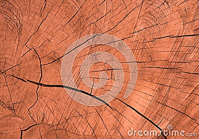 Texture Ends wood, seamless texture wooden Stock Photo