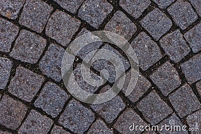 Texture Figured Paving Slabs. Seamless Texture. High resolution. Herrinbone grey paving tile seamless texture Stock Photo