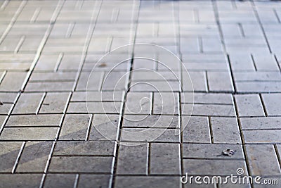 Texture flagstones gray stone Stock Photo