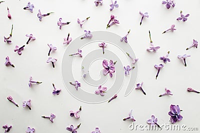 The texture of the flowers of lilac on a white background Stock Photo