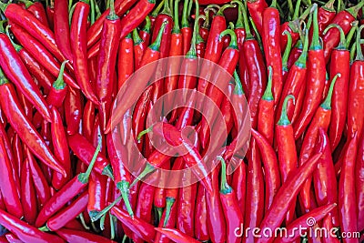 Texture of fresh Red pepper. A lot of spicy collected. Fresh Chilli close-up. Background of Chilli pepper Stock Photo