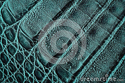 Texture of genuine leather close-up, embossed under the skin crocodile, green color print, trendy background Stock Photo