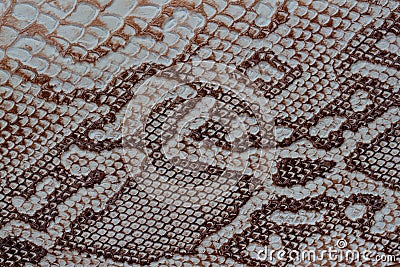 Texture of genuine leather close-up, embossed under the skin a reptile, with fashion pattern and matte surface. Natural Stock Photo