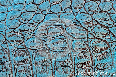 Texture of genuine leather with embossed scales reptiles, turquoise color, trendy pattern, natural background Stock Photo