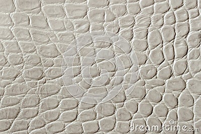 Texture of genuine patent leather close-up, embossed under the skin reptile. For modern pattern, wallpaper or banner Stock Photo