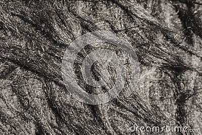 texture gray black woolen surface close Stock Photo