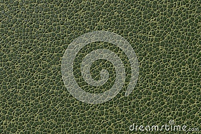 Texture green leather cracked. Abstract natural skin pattern surface animal dinosaur, crocodile. 3D rendering Stock Photo