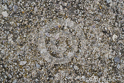 Texture of grey cement mixed with gravel Stock Photo