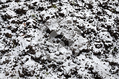 The texture of the ground, covered with a thin layer of snow. The soil of the garden in winter. The dug ground close up Stock Photo