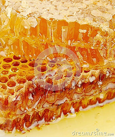 Texture of honeycomb Stock Photo