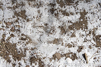 The texture of icy snow in the forest on the road, small branches and patches of earth, ice chips, Stock Photo