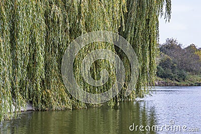 Texture lake, nature. Cloudy day, waves. Fishing gear. Stock Photo