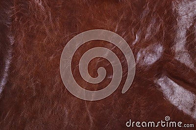 Texture of leather Stock Photo