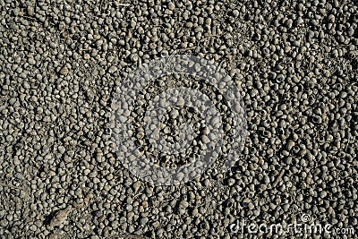 Texture of lifeless river dried river bed Stock Photo