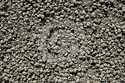 Texture of lifeless river dried river bed Stock Photo